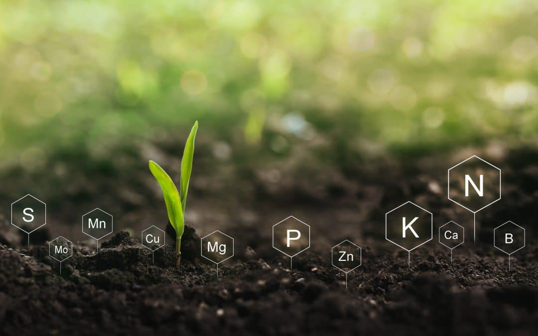 Nutrient TECH – Embracing the Evolution of Agriculture