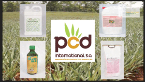 PCD International nutrition program for pineapple production using Nutrient TECH products