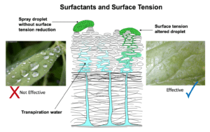 Diffusion of plant nutrient droplets on leaf surface