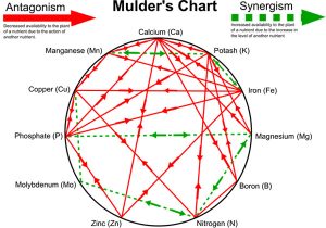 resources mulders chart