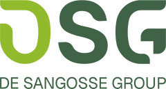 DSG-logo-2025